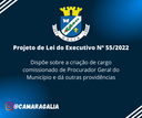 Projeto de Lei do Executivo Nº 55.png