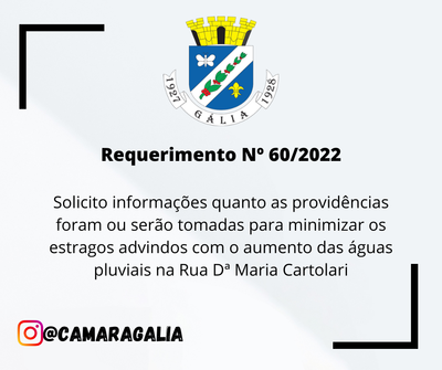 Requerimento Nº 60.png