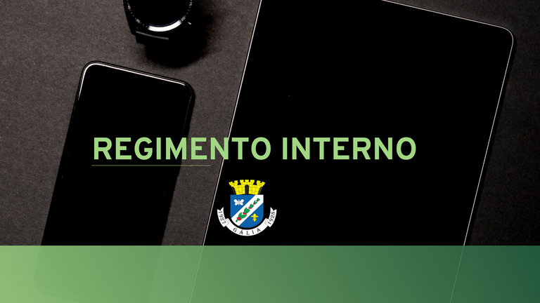 Regimento Interno