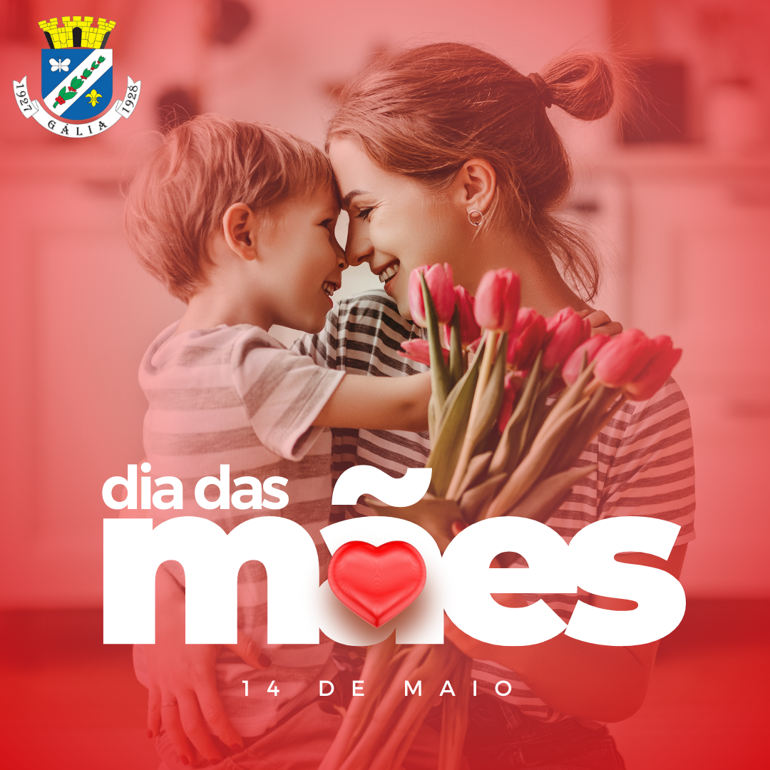 Feliz Dia das Mães !