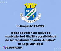 Indicação Nº 29-2022